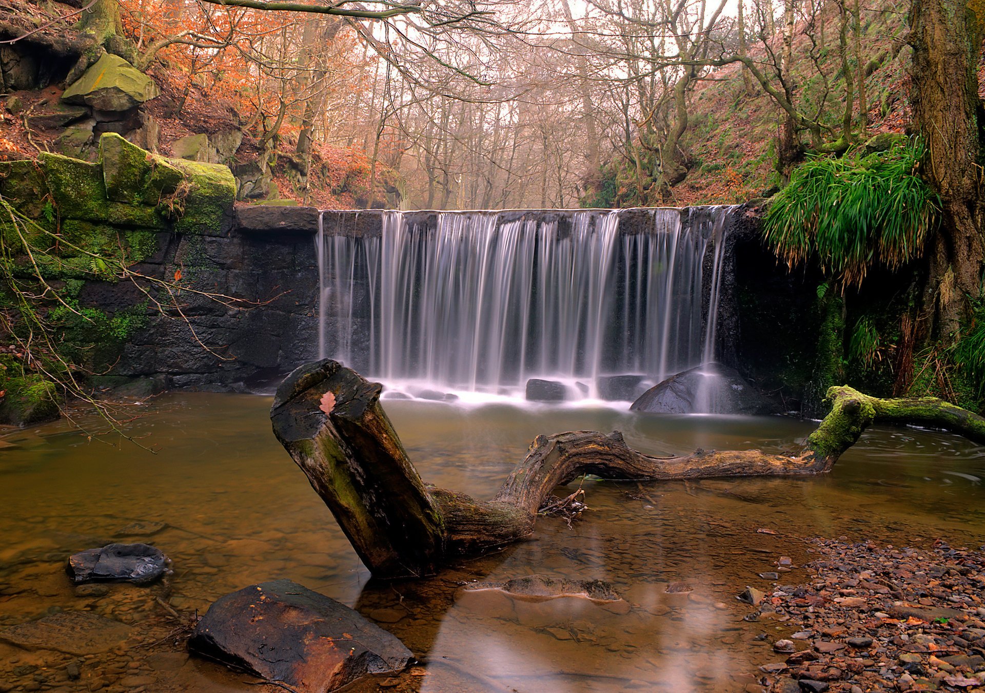 nature river forest stones snag waterfall autumn