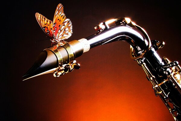 Papillon aux ailes panachées sur saxophone