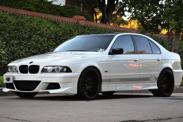 A white shiny BMW stands against the background of foliage