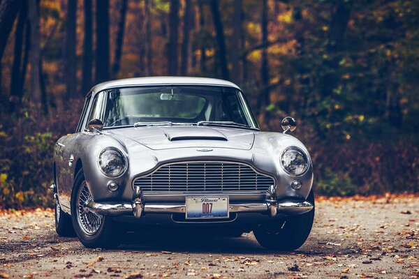 Aston Martin plateado contra el bosque de otoño