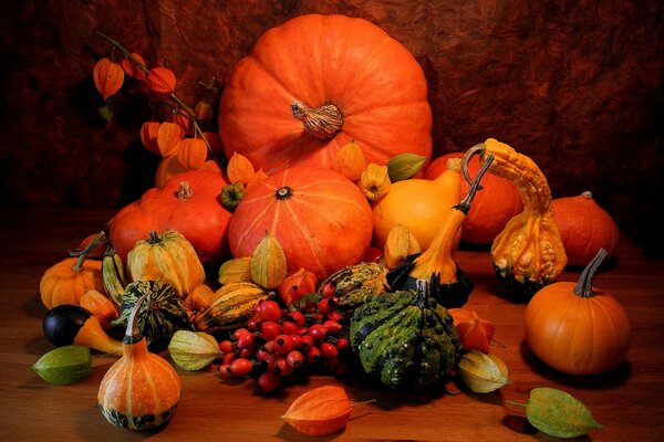 Lovely still life of pumpkin and physalis