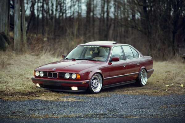 BMW rossa sulla strada nel bosco