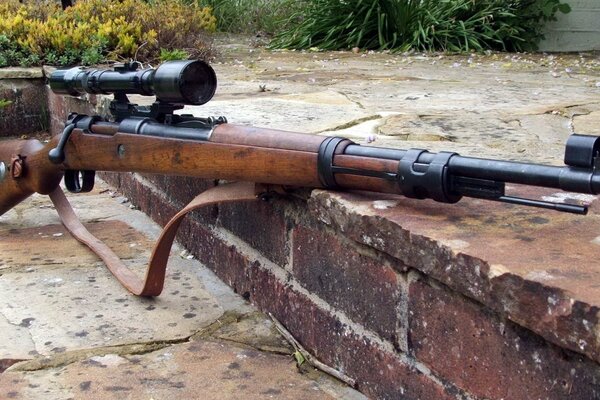 Mauser brun sur les Marches de pierre