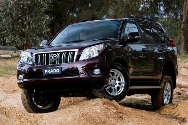 SUV Land Cruiser pravdo conquérir hors route