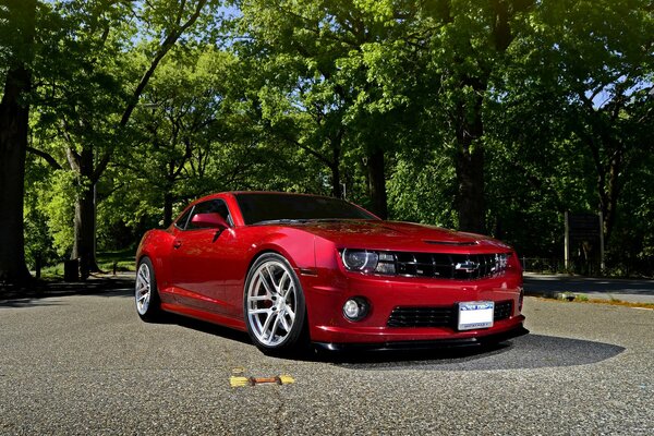 Red Chevrolet Camaro in the alley in the woods