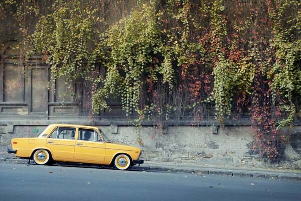 Understated yellow six on the road