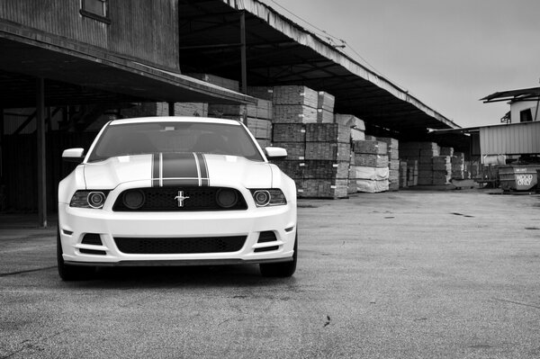 Classique du genre Ford Mustang