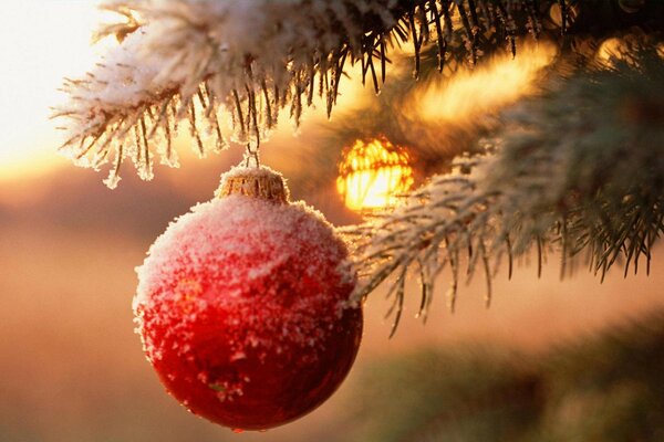 Bola de año nuevo en una rama de árbol de Navidad cubierta de nieve