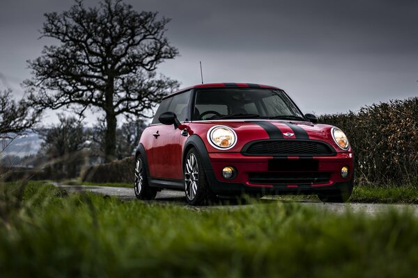 On the track - a red mini Cooper car