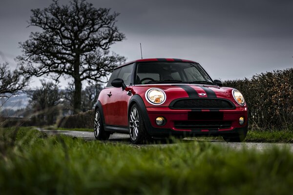 En la pista-coche rojo Mini Cooper