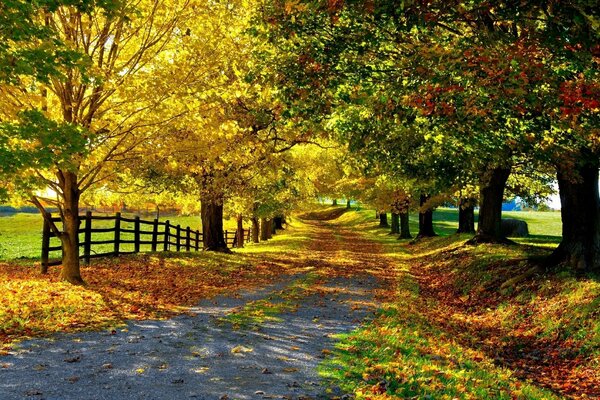 Allée des feuilles dans la vallée de la clôture