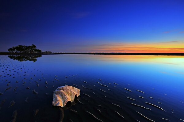 Meraviglioso tramonto sulla superficie dell acqua
