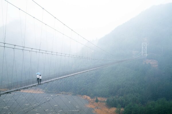 Puente colgante con gente alta