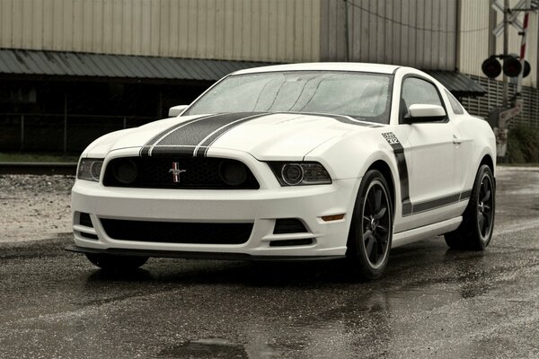 Ford Mustang blanco en asfalto mojado