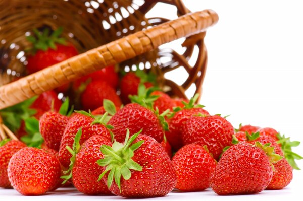 Strawberries in a wicker basket