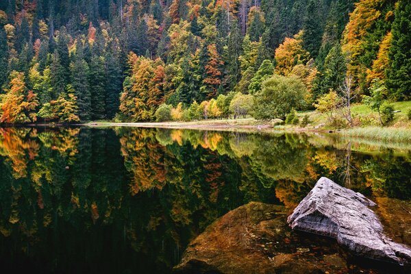 La imagen especular del bosque de otoño en el lago