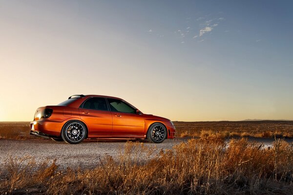 Subaru impreza sort otoño naturaleza