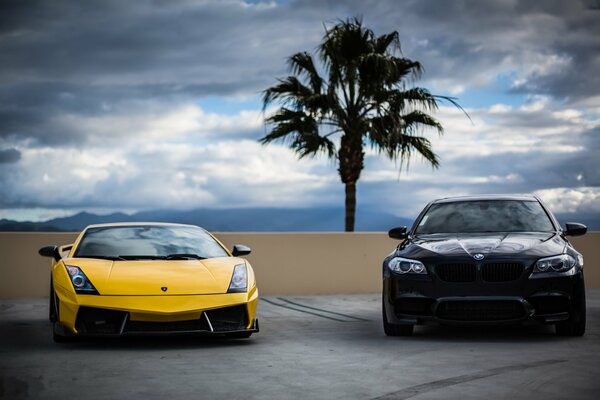 Yellow lamborghini and black bmw on the road against palm trees and cloudy sky