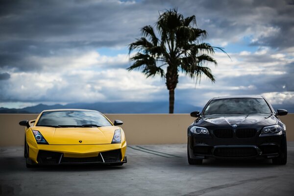 Lamborghini amarillo y bmw negro en la carretera contra una palmera y un cielo nublado