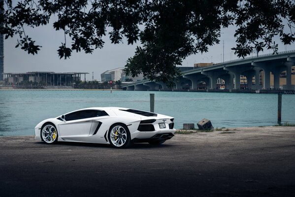 Lamborghini blanco en la playa de la ciudad