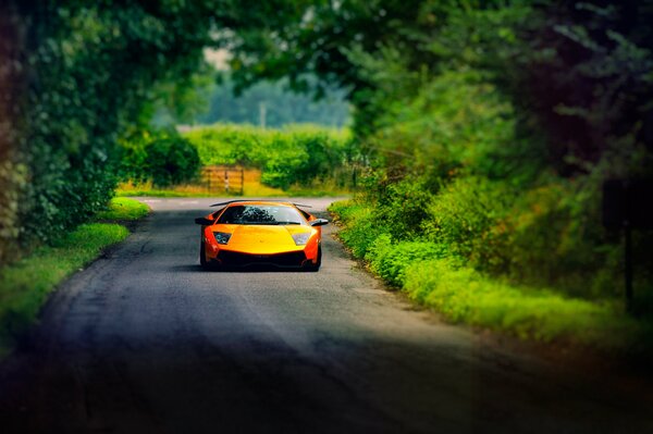 Yellow-orange lamborghini rides on the road in summer