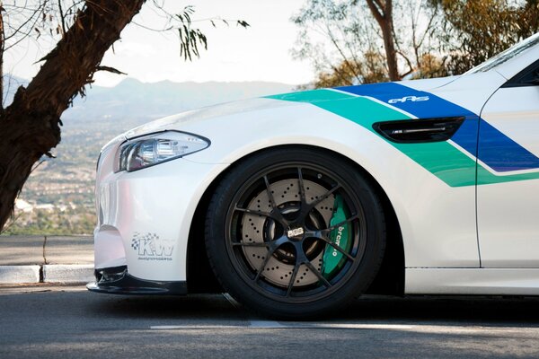 BMW m5 in white with palm trees