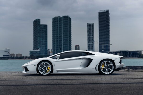 Lamborghini blanco contra el fondo de edificios de varios pisos