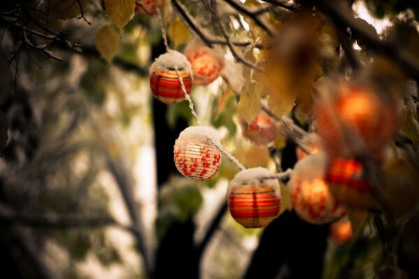 Bright lanterns on tree branches