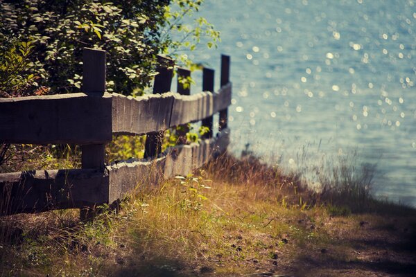 Village fence by the shining river