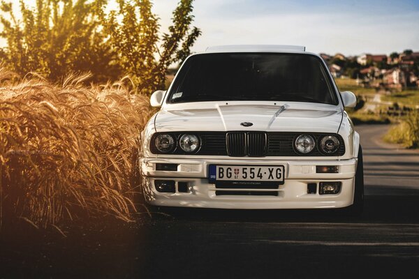 Weißer BMW auf einem Weizenfeld