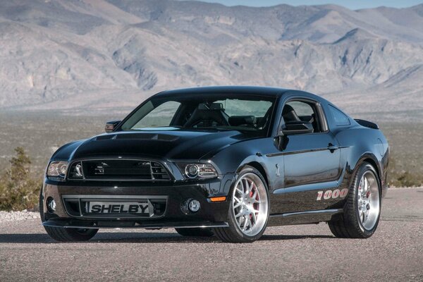 Blue Shelby corre por el borde montañoso