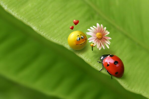 A picture of a smiling smiley face and a ladybug