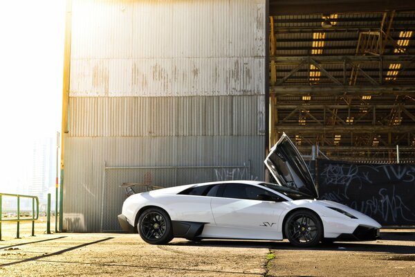 Lamborghini Murcielago compatta bianca sotto il sole splendente