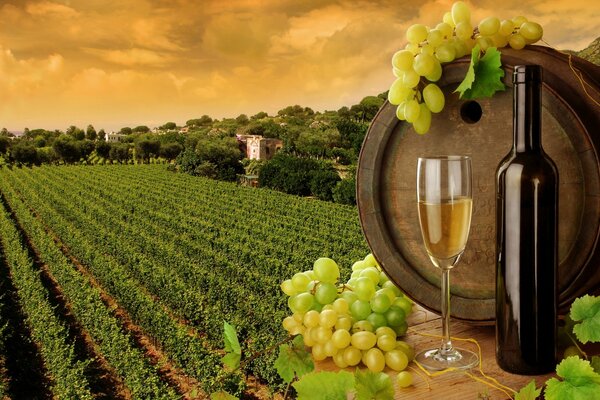 A wine barrel in the field. Glass