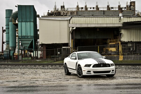 White Ford Mustang bboss 302 with a black stripe on the hood