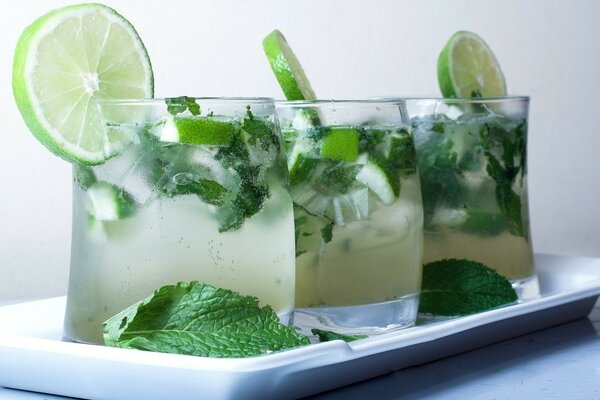 Refreshing mojito cocktail with mint