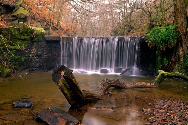 Herbstliche Natur mit Wasserfall im Wald