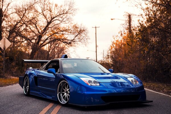 A chic blue sports acura on an autumn road