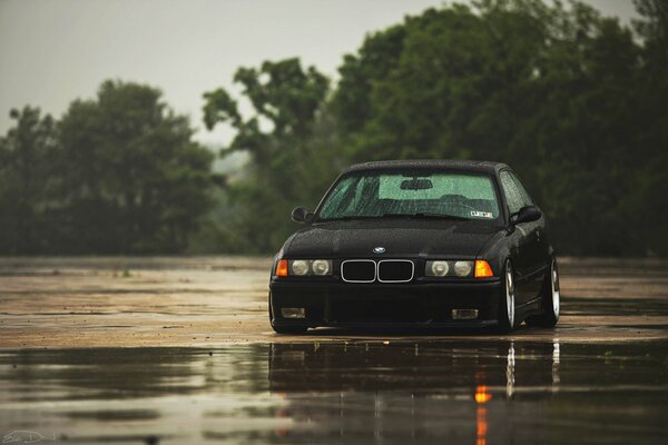 Schwarzer BMW im Regen auf Baumhintergrund