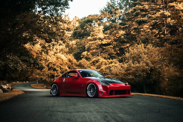 Roter Nissan 350z auf der Straße vor dem Hintergrund des Herbstwaldes