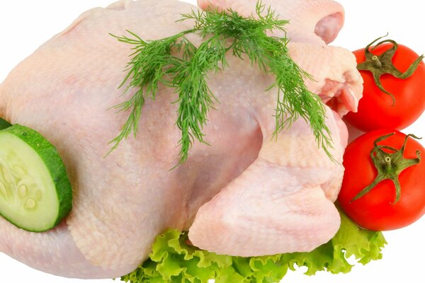 Raw chicken with tomatoes and herbs