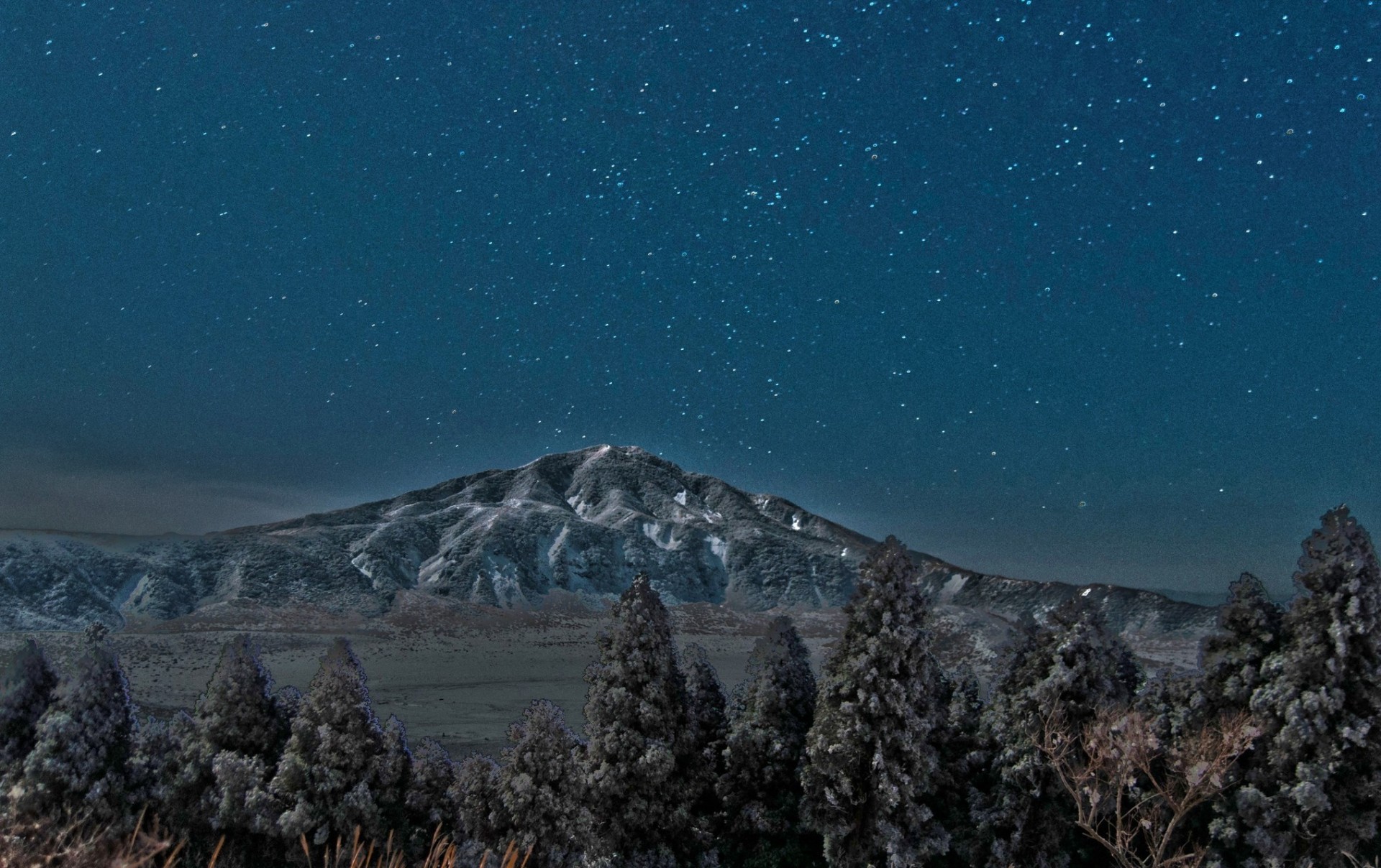 cielo noche palmeras montaña vista