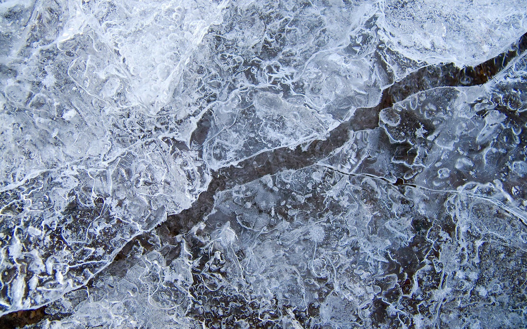 hielo línea