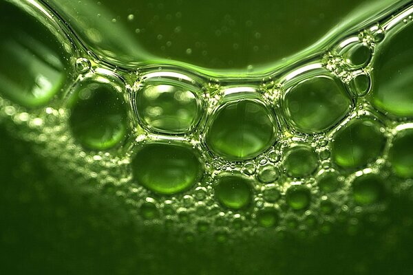 Bubbles in green tones