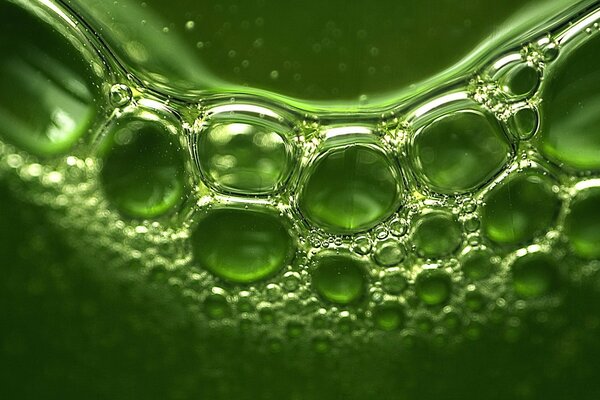 Пузырьки в зелёных тонах