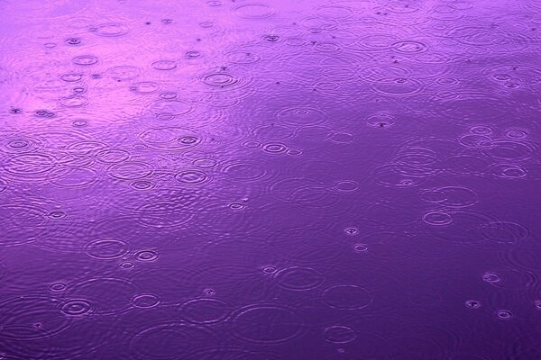 Temblores de agua de la lluvia en la superficie de agua púrpura