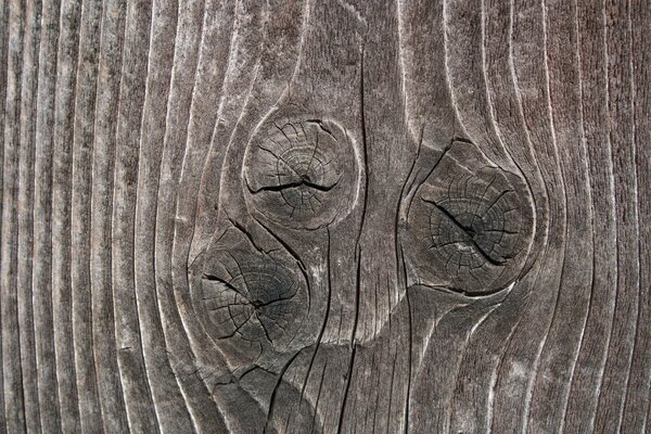 The subtleties of the texture on the wood cut