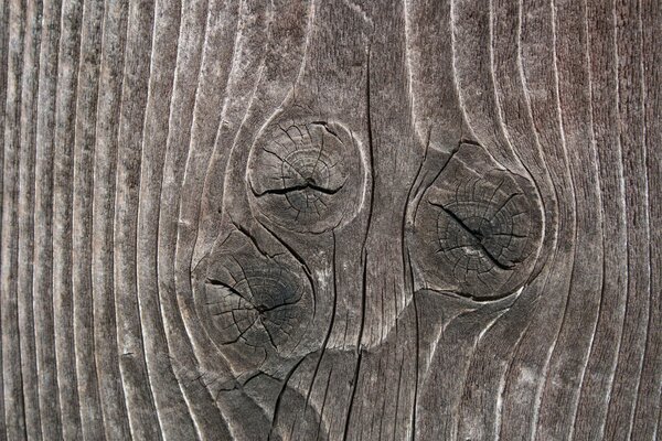 Sutilezas de textura en el corte de madera