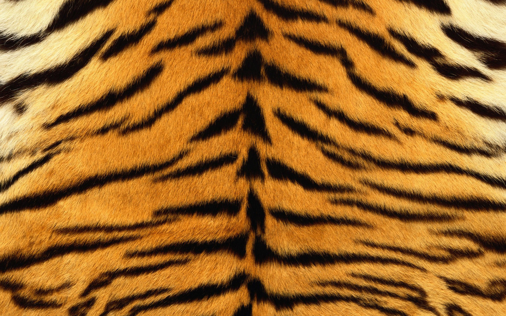 hide tiger strips fur striped