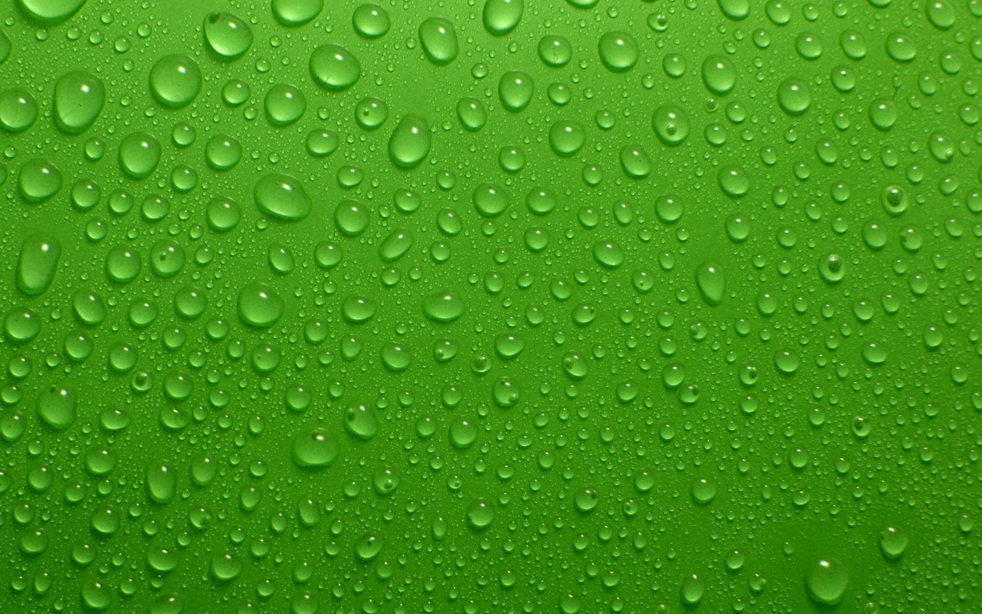 drops green background